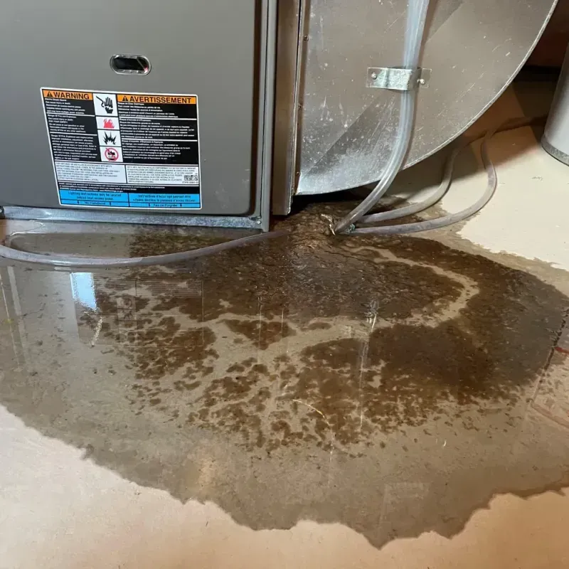 Appliance Leak Cleanup in New Chicago, IN